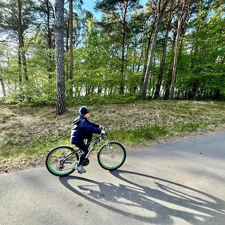 Domeczki Blaneczki